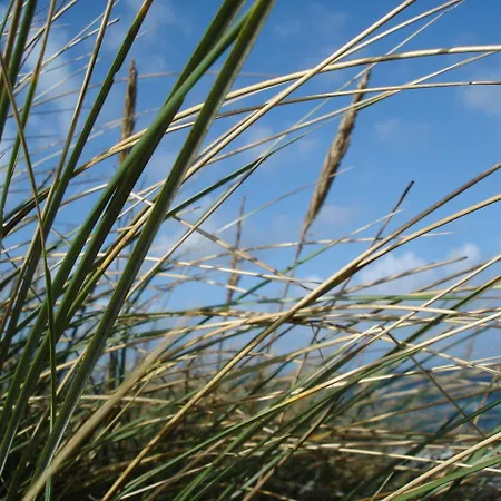 Duenenblick Doppelzimmer Bernstein *